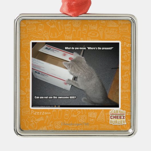 Fantastischer Kasten Ornament Aus Metall (Vorne)