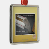 Fantastischer Kasten Silbernes Ornament (Rechts)