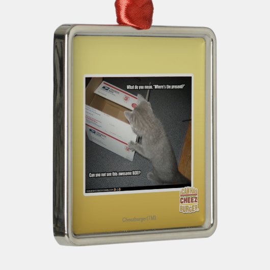 Fantastischer Kasten Silbernes Ornament (Rechts)