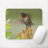 Fantastischer Kolibri Mousepad (Mit Mouse)