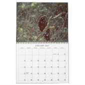 Fantastischer Krähen-Fotografie-Kalender Kalender (Jan 2027)