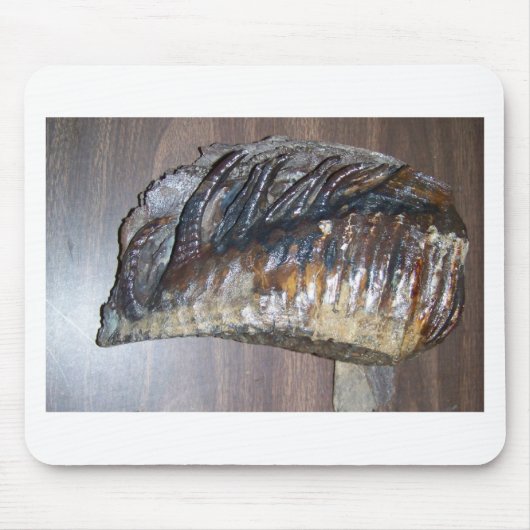 fantastischer Mammutzahn Mousepad (Vorne)