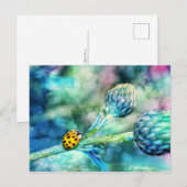 Fantastischer Marienkäfer Postkarte (Vorne/Hinten)