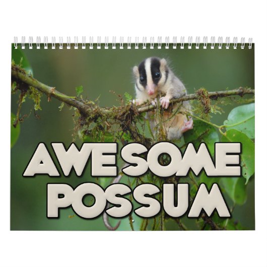 Fantastischer Opossum-Wandkalender Kalender (Titelbild)