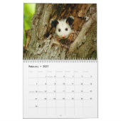 Fantastischer Opossum-Wandkalender Kalender (Feb 2027)