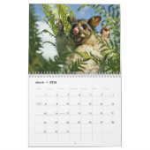 Fantastischer Opossum-Wandkalender Kalender (Mär 2026)