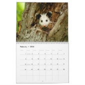 Fantastischer Opossum-Wandkalender Kalender (Feb 2026)