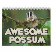 Fantastischer Opossum-Wandkalender Kalender (Titelbild)