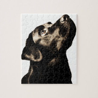 Fantastischer schwarzer Labrador-Retriever Puzzle