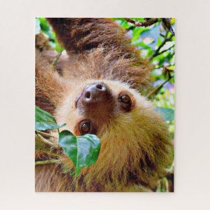 fantastischer Sloth Puzzle