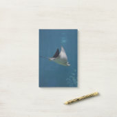 Fantastischer Stingray Post-it Klebezettel (Auf Schreibtisch)