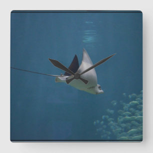 Fantastischer Stingray Quadratische Wanduhr