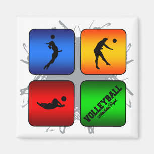 Fantastischer Volleyball-städtische Art Magnet