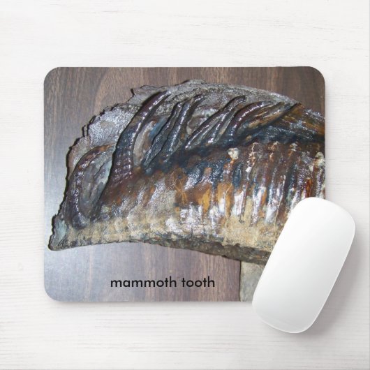 fantastischer Zahn, Mammutzahn Mousepad (Mit Mouse)