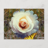 Fantastisches Blumenposter Postkarte (Rückseite)