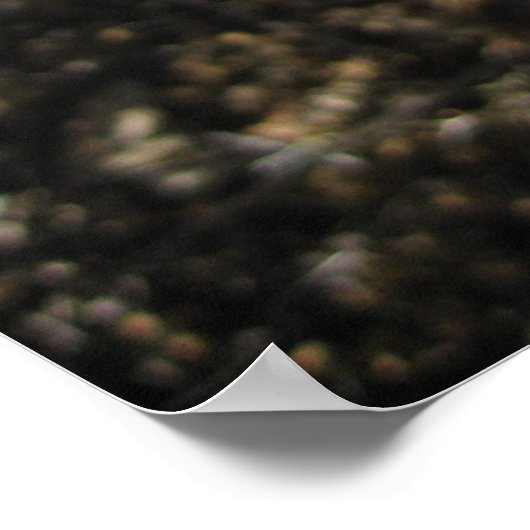 Fantastisches Fuschia (3) Poster (Ecke)