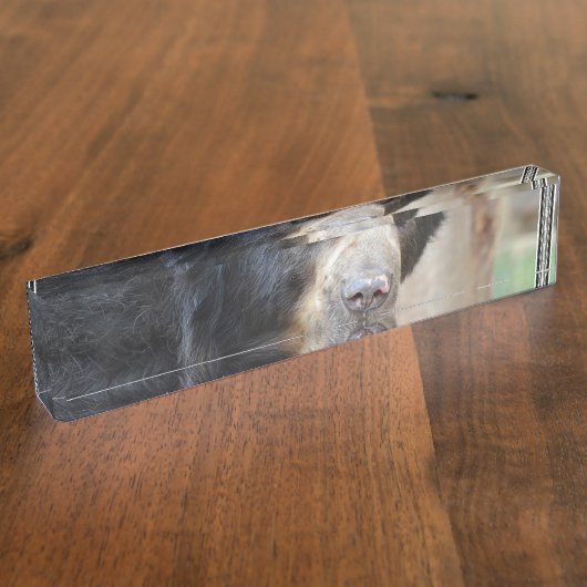 Fantastisches Gesicht eines schwarzen Bären Namensplakette (Seite)