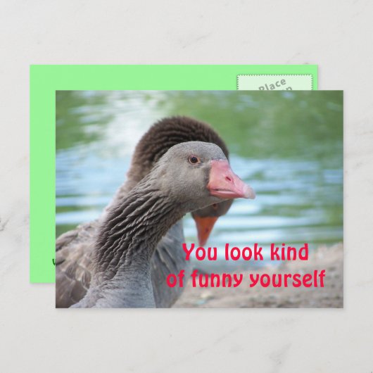 Fantastisches Gesicht Postkarte (Vorne/Hinten)