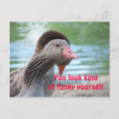 Fantastisches Gesicht Postkarte (Vorderseite)