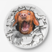 Fantastisches Hundegesicht Pappteller (Vorderseite)