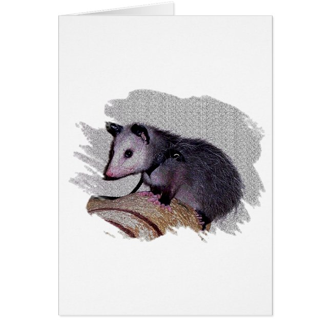 Fantastisches Opossum-Opossum (Vorne)