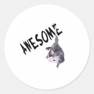 Fantastisches Opossum-Opossum Runder Aufkleber