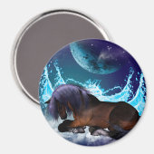 Fantastisches Pferd Magnet (Vorderseite/Rückseite)