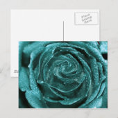 Fantasy Aquamarine Rose Postkarte (Vorne/Hinten)