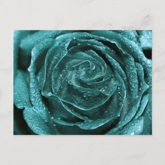 Fantasy Aquamarine Rose Postkarte (Vorderseite)
