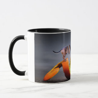 Fantasy Basset Hund Fairy Orange Peel Pebble Tasse
