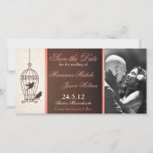 Fantasy Birdcage Chocolate & Pink Save the Date (Vorderseite)