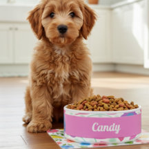 Fantasy-Blume Rosa Blau Lila Keramik Pet Bowl