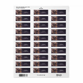 Fantasy Butterfly Gold Sparkon (Vorne)