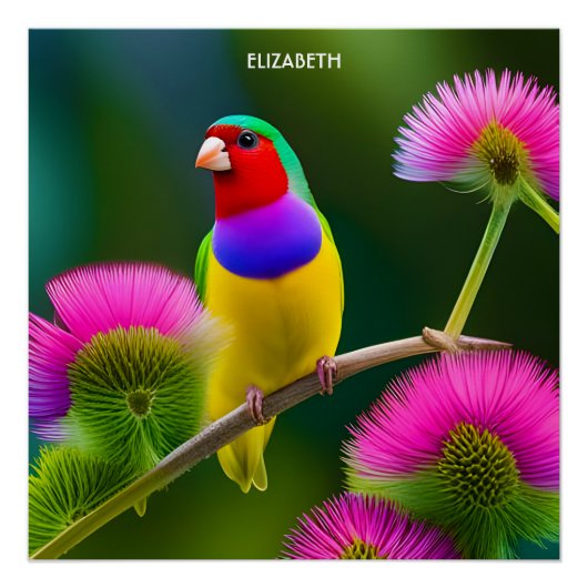 Fantasy Colorful Gouldian Finish Poster (Vorderseite)