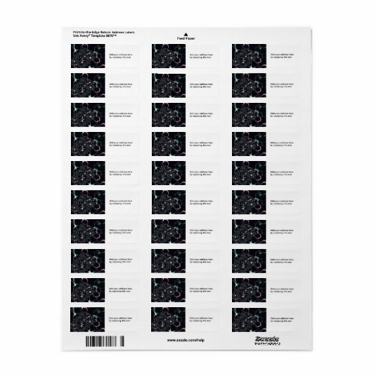 Fantasy Custom Return Address Label (Vorne)