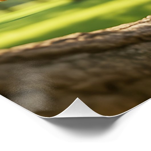 Fantasy Cute Happy Squirrel Forest Poster (Ecke)