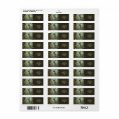 Fantasy Cute Pixie Butterfly Wings (Vorne)