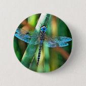 Fantasy Dragonfly in Türkis und Schwarz Button (Vorderseite)