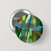 Fantasy Dragonfly in Türkis und Schwarz Button (Vorne & Hinten)