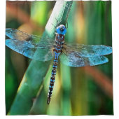 Fantasy Dragonfly in Türkis und Schwarz Duschvorhang (Vorderseite)