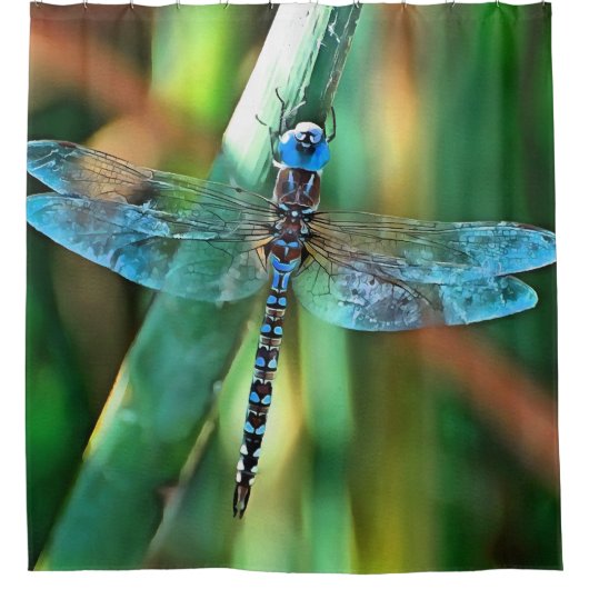 Fantasy Dragonfly in Türkis und Schwarz Duschvorhang (Vorderseite)