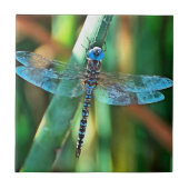Fantasy Dragonfly in Türkis und Schwarz Fliese (Vorderseite)