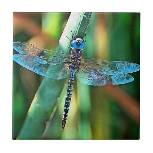 Fantasy Dragonfly in Türkis und Schwarz Fliese (Vorderseite)