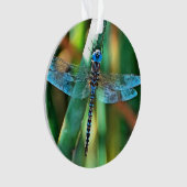 Fantasy Dragonfly in Türkis und Schwarz Ornament (Vorderseite)