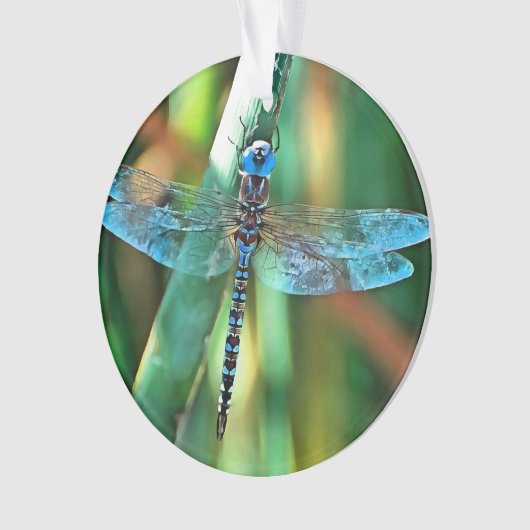 Fantasy Dragonfly in Türkis und Schwarz Ornament (Vorderseite)