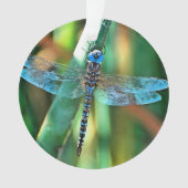 Fantasy Dragonfly in Türkis und Schwarz Ornament (Vorderseite)