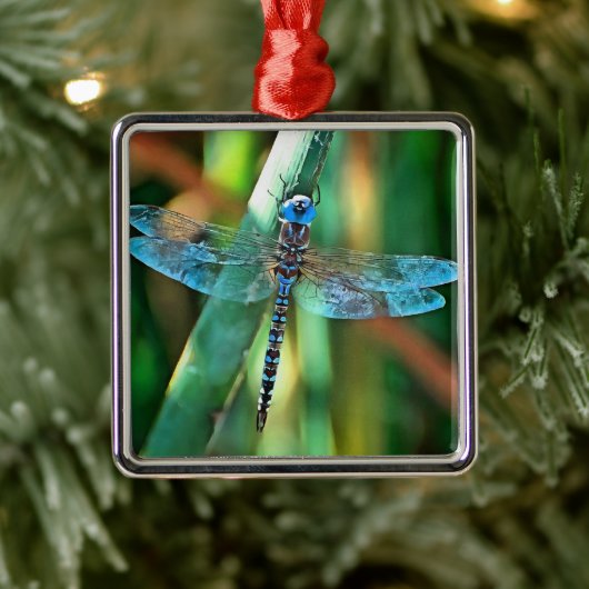 Fantasy Dragonfly in Türkis und Schwarz Ornament Aus Metall (Baum)
