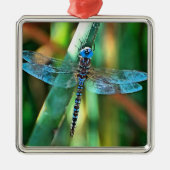 Fantasy Dragonfly in Türkis und Schwarz Ornament Aus Metall (Vorne)