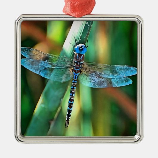 Fantasy Dragonfly in Türkis und Schwarz Ornament Aus Metall (Vorne)