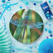 Fantasy Dragonfly in Türkis und Schwarz Pappteller (Party)